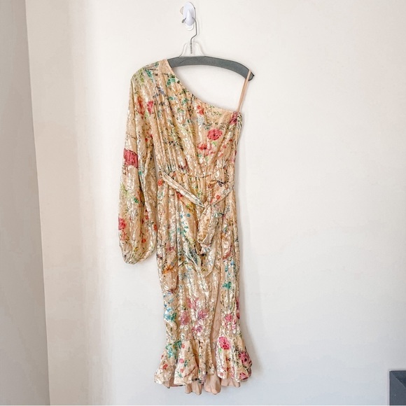 NWT HEMANT AND NANDITA Veena Midi Dress in Nude Floral Ruffle Velvet Sz Small - Picture 4 of 11